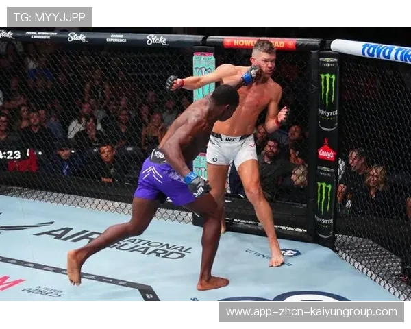 UFC拳手一回合打出百次有效击打,极限挑战与格斗艺术的完美结合 UFC拳手一回合打出百次有效击打,极限挑战与格斗艺术的完美结合